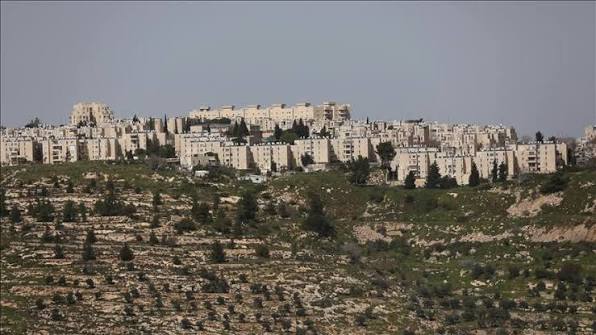 الأمم المتحدة تدعو الى وقف اعــ تداءات المستوطنين وحماية الفلسطينيين في الضفة الغربية