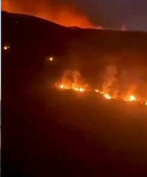 السيطرة على حريق غابة وادي المعدن وسط مدينة نفزة مخلفا اضرارا في الاشجار المثمرة