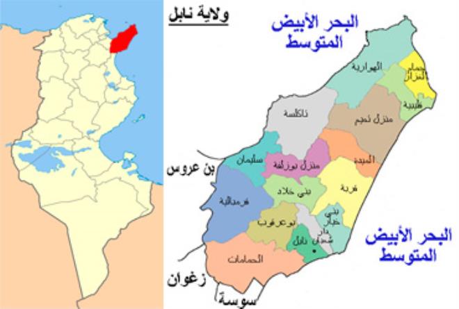 وزير التجهيز : انطلاق أشغال تهيئة الطريق المحلية رقم 597 ببني خيار