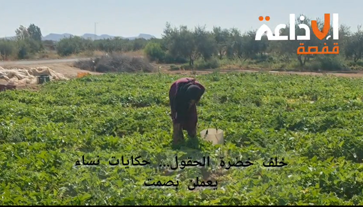 توزر: انطلاق تحيين السجل الانتخابي بعمادة سندس فم الخنقة