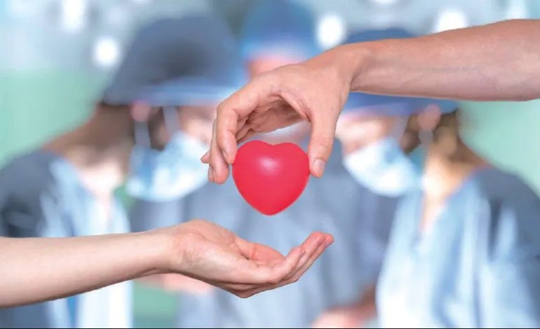 Transplantation d’organes en Tunisie : les greffes progressent, mais le manque de donneurs persiste