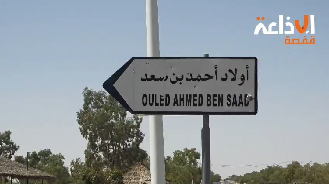 أنطلاق موسم جني الفستق بقفصة