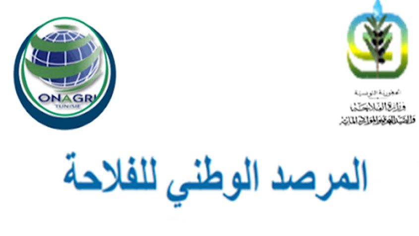 الميزان التجاري الغذائي يسجل فائضا بقيمة 1006,6 مليون دينار إلى موفى جويلية 2026 (المرصد الوطني للفلاحة)