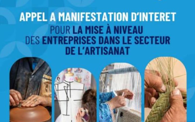 مشروع تونس الإبداعية 2 تعلن عن فتح باب الترشح للمؤسسات الناشطة في قطاع الصناعات التقليدية