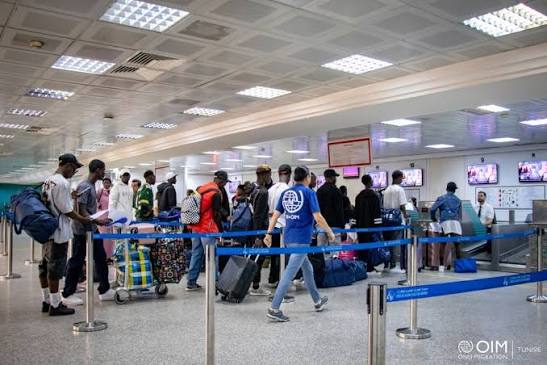 بعثة المنظمة الدولية للهجرة بتونس : 25103 مهاجرين غير نظاميين استفادوا من آلية العودة الطوعية