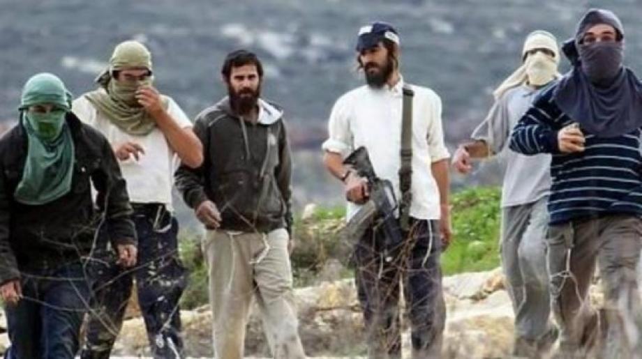 هيئة فلسطينية: تصاعد اعتداءات المستوطنين في الضفة الغربية بنسبة 63 في المئة
