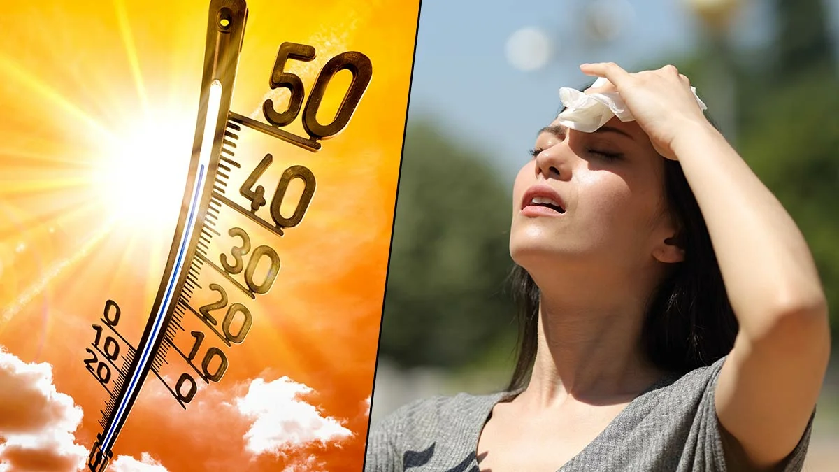 Canicule en Tunisie : un été qui pourrait se prolonger jusqu’en septembre