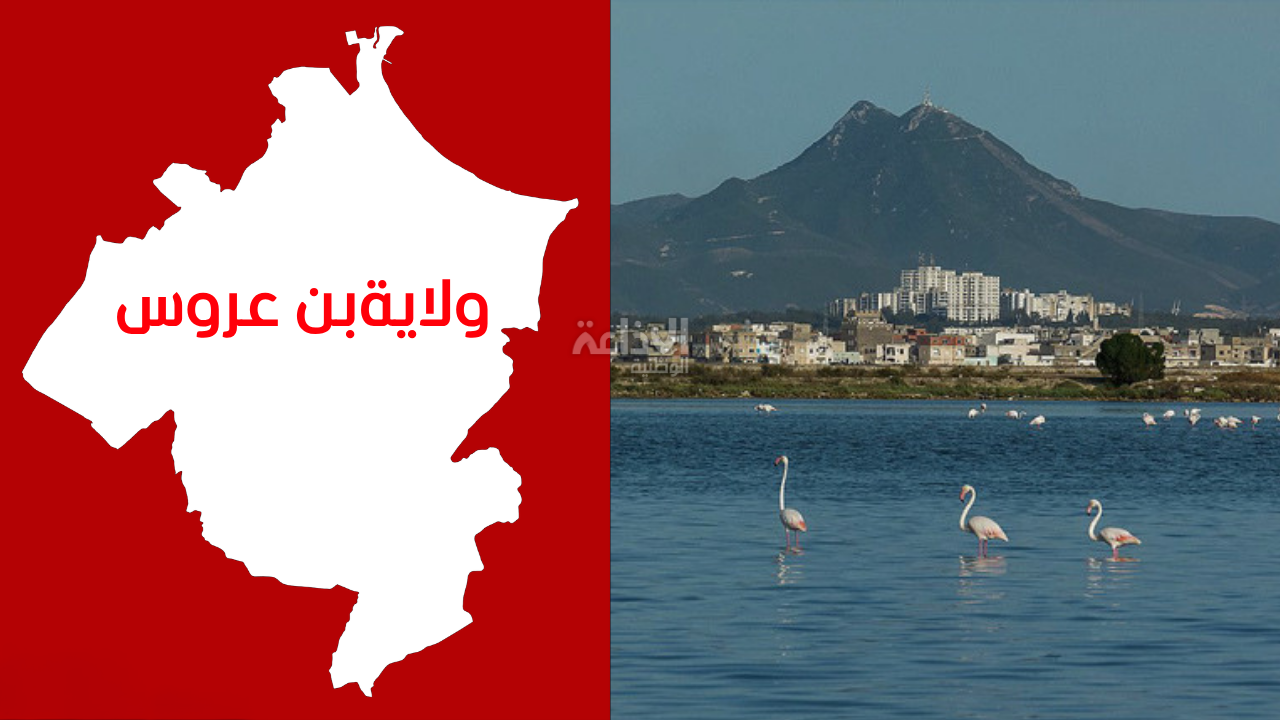 بن عروس: تكريم المتفوقين في المناظرات الوطنية بمناسبة يوم العلم الجهوي