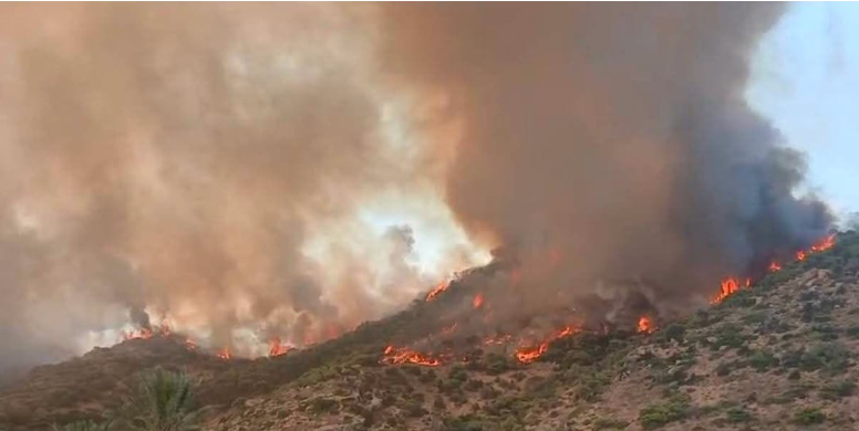Jendouba : situation en voie de stabilisation après trois incendies simultanés