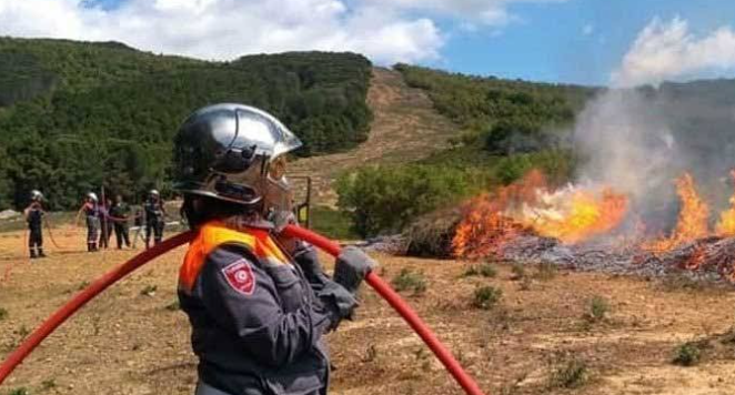 Incendie de JBEL Mzata : d’importants moyens humains et matériels mobilisés pour circonscrire l’incendie ce matin à l’aube