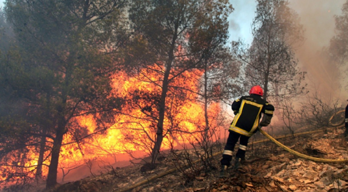 Siliana : de violentes rafales ravivent l’incendie de Djebel Boulemane