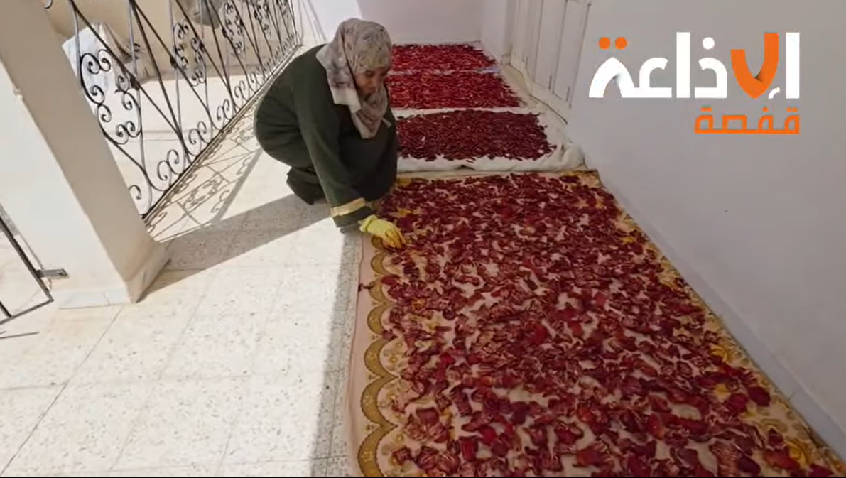 العولة.. من خيرات الأرض إلى مائدة العائلة