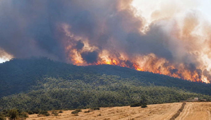 Siliana : l’incendie de Jebel Boulamen reprend, la lutte contre les flammes se poursuit