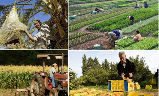 Agriculture : sécheresse et coupures d’électricité menacent la souveraineté alimentaire de la Tunisie