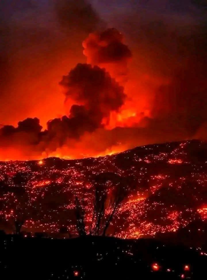 Djebel Boulmane : les vents de plus de 100 km/h favorisent la reprise du feu