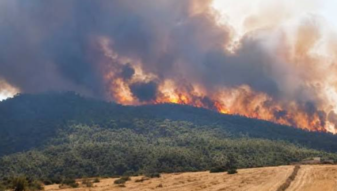 Incendie à Siliana : 140 familles évacuées, les secours toujours mobilisés