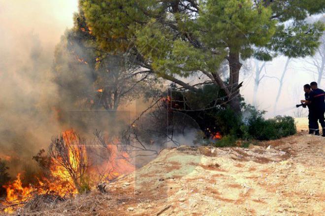 سليانة: تواصل جهود السيطرة على حريق جبل بولمان ببرقو لليوم السادس وتوسع النيران في اتجاه منطقة بلوطة