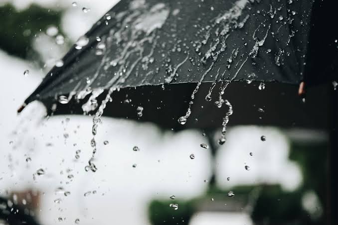 طقس مغيم جزئيا مع مع نزول امطار بالمناطق الغربية