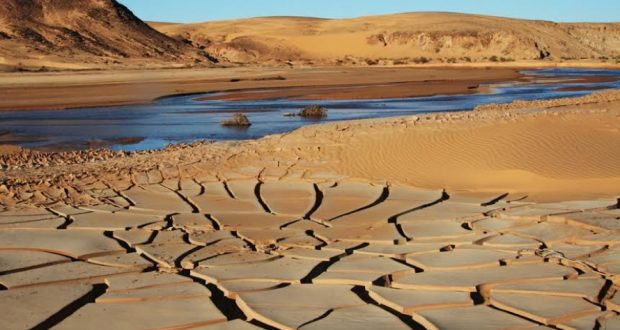 وزارة الفلاحة: نصيب التونسي من المياه دون 420 متراً مكعباً والبلاد تحت خط الشح المائي
