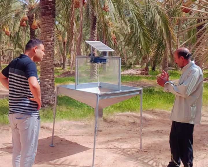 توزر: متابعة نجاعة المصائد الضوئية لمكافحة حشرة الأوريكتاس بالواحات