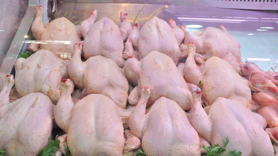 رئيس غرفة تجار الدواجن يؤكد تسجيل نقص في لحوم الدواجن
