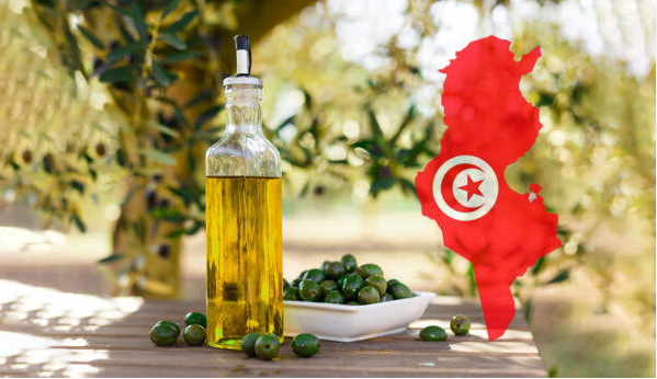 Huile d’olive : la production attendue en baisse, les recettes d’exportation devraient rester stables