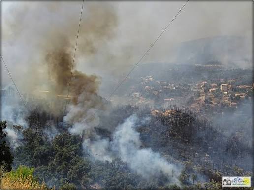 Fin du cauchemar à Jebel Bargou : L'incendie est totalement maîtrisé