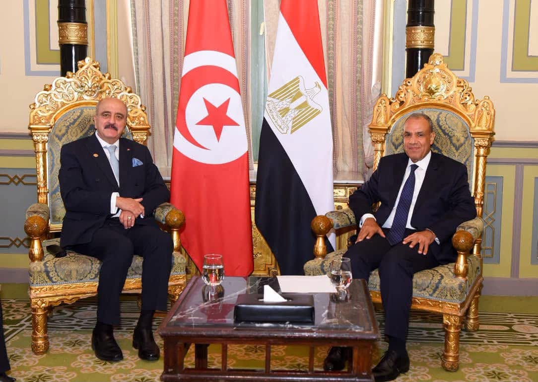 وزير الشؤون الخارجية يلتقي بالقاهرة نظيره المصري