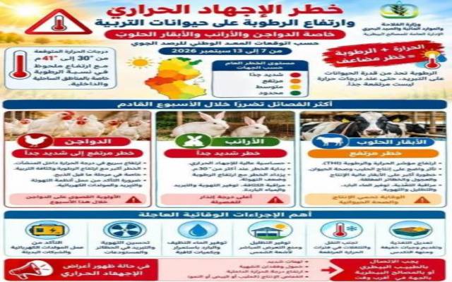 موجة حر من 7 إلى 13 سبتمبر : تحذير من مخاطر الإجهاد الحراري على حيوانات التربية