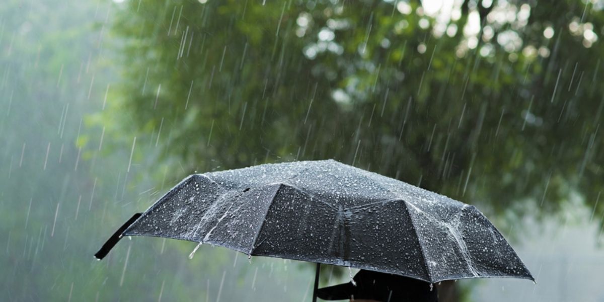 Des pluies orageuses et parfois intenses attendues à partir de jeudi