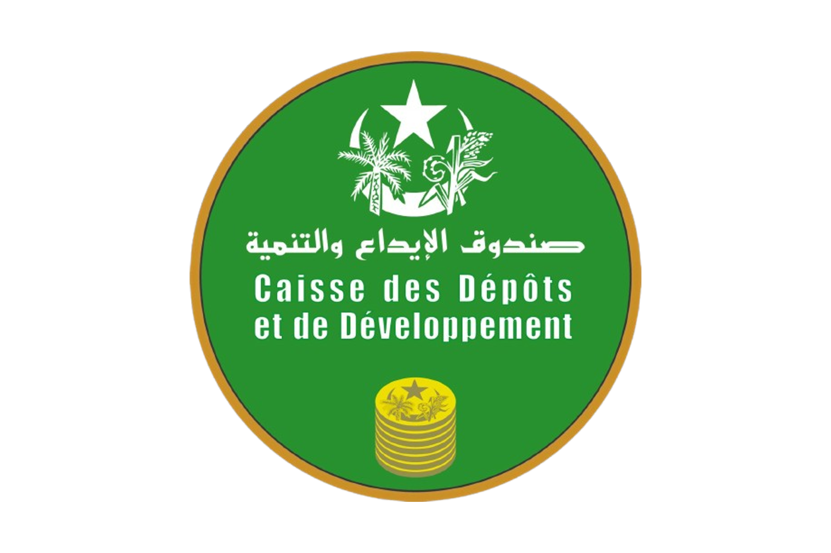 منتدى مؤسسات صناديق الإيداع: تحالف استراتيجي من اجل تعزيز تمويل التنمية في إفريقيا