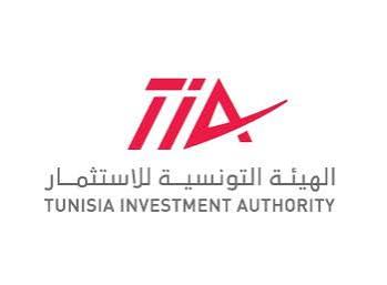 الهيئة التونسية للاستثمار تبحث فرص الاستثمار في المعادن الحرجة وتعزيز جاذبية تونس في المجال