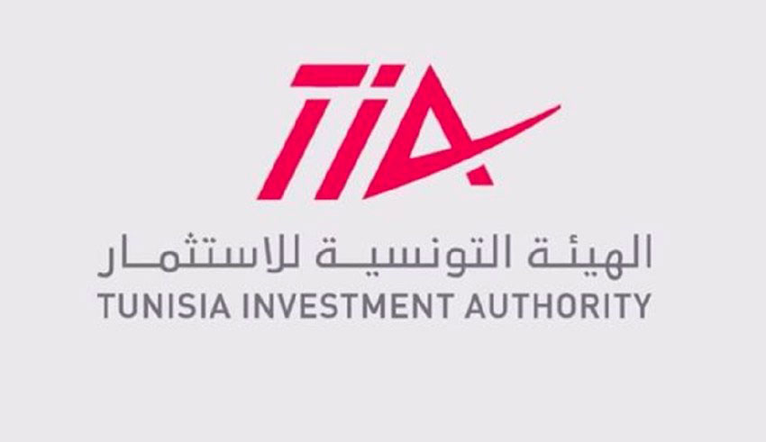 الهيئة التونسية للاستثمار تبحث فرص الاستثمار في المعادن الحرجة وتعزيز جاذبية تونس في المجال