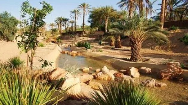 رحلة استطلاعية للجنوب التونسي لفائدة 50 شابا تونسيا من المقيمين بالولايات المتحدة والمكسيك