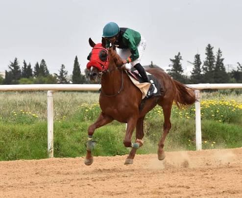 شركة سباق الخيل بقصر السعيد تدعو إلى تعزيز إجراءات الوقاية والأمن الحيوي للحد من انتقال الأمراض