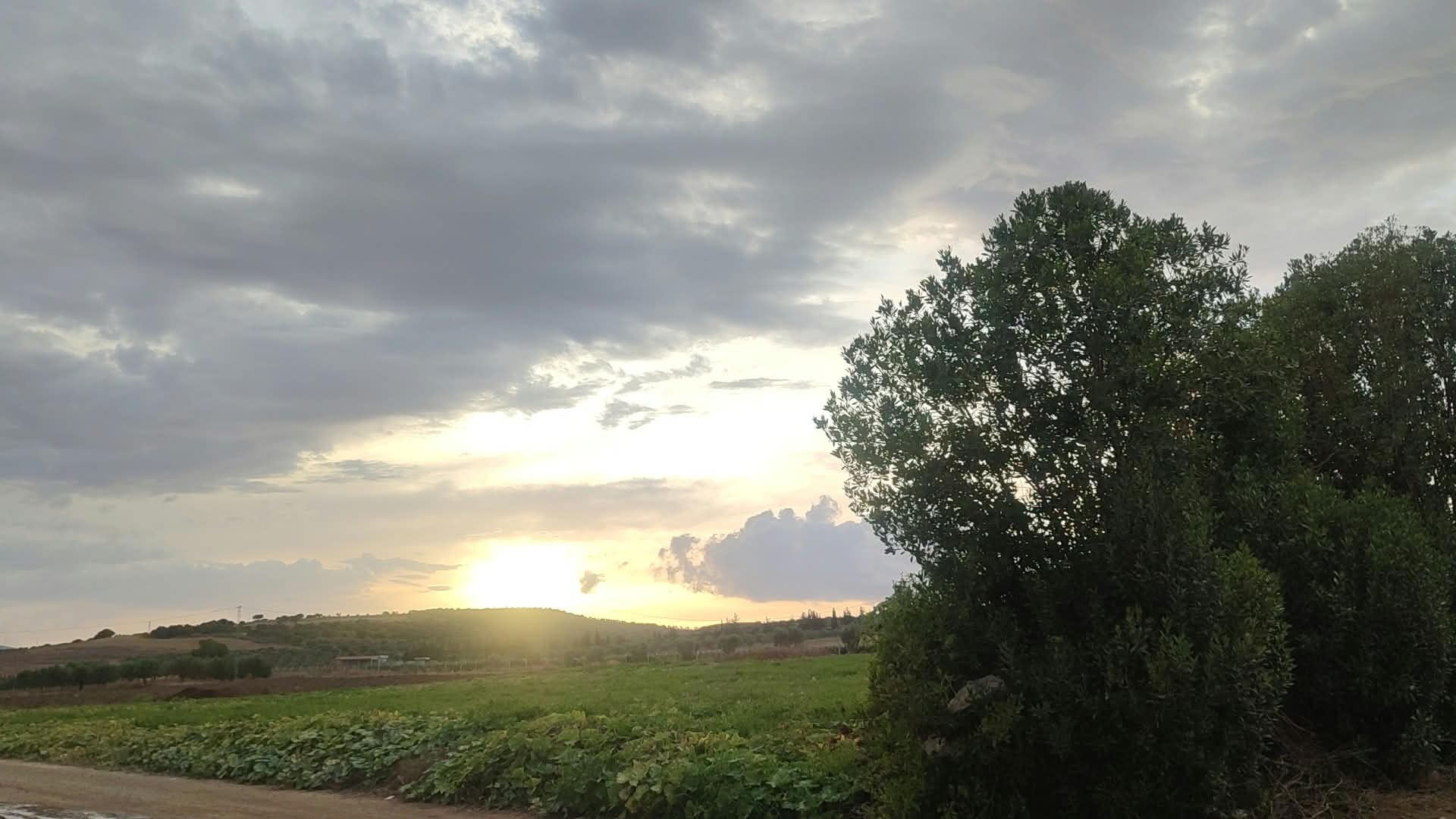 Orages, pluies et vents forts attendus dans le Sud