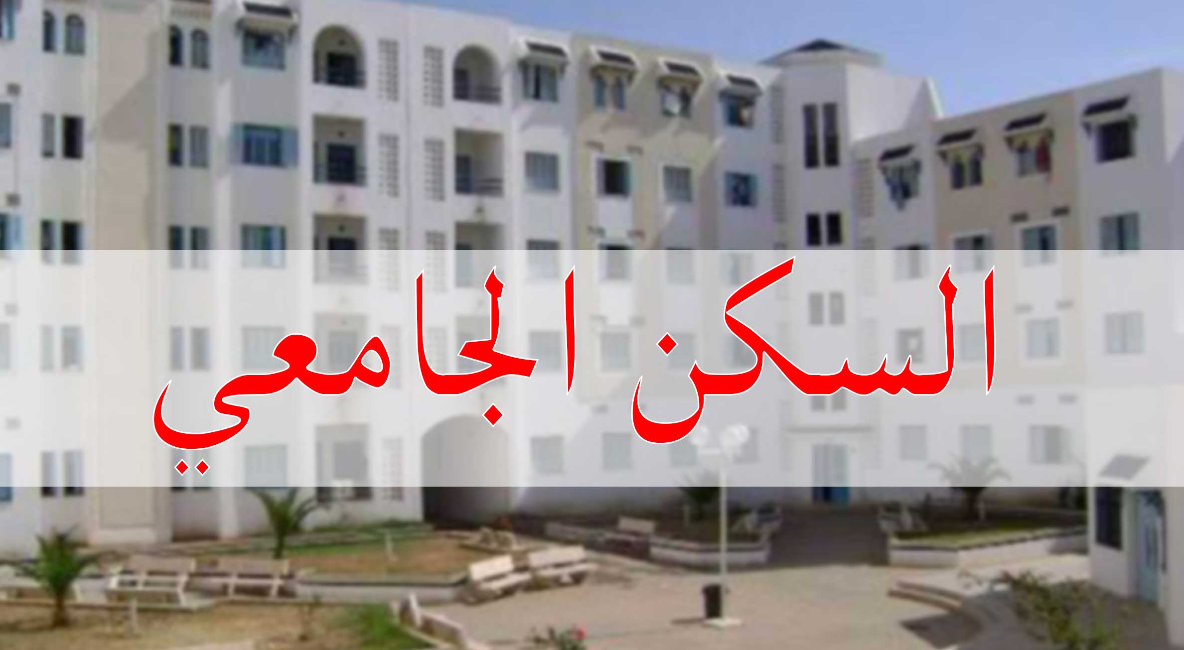 مدير الخدمات الجامعية للشمال: أكثر من 29 ألف سرير على ذمة الطلبة