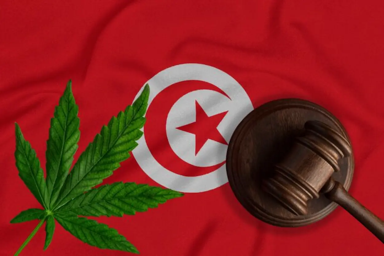 تونس تعتزم تعديل قانون المخدرات لمواجهة "تطوّر" الجريمة المنظمة