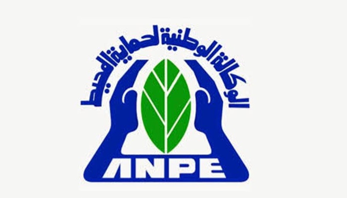 تونس تحتفي باليوم العالمي للأوزون وتستعرض جهودها لحماية طبقة الأوزون ومكافحة التغيرات المناخية