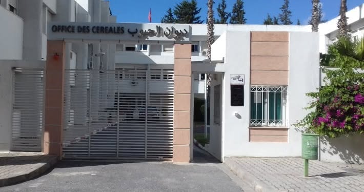 غداً.. تونس تحتضن ندوة وطنية حول تقييم موسم الحبوب والاستعداد لموسم البذر القادم