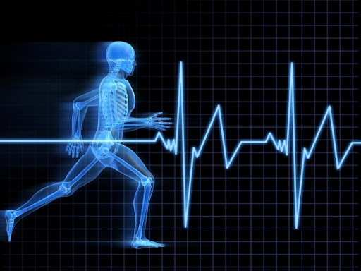 نوفمبر المقبل: تونس العاصمة تحتضن الدورة ال11 للمؤتمر الدولي لعلوم الرياضة