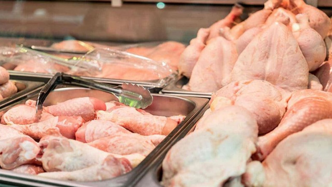 رئيس غرفة تجار الدواجن: توزيد السوق باللحوم البيضاء يسير بشكل منتظم 