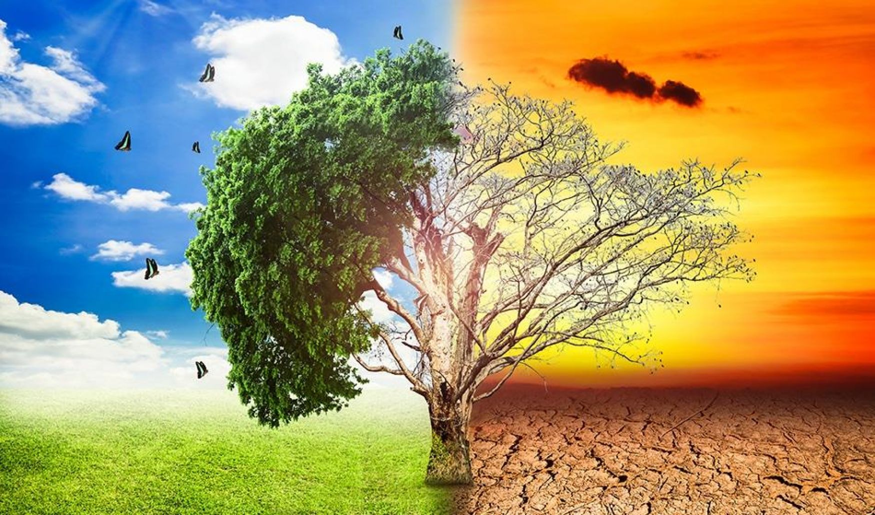 الإعلان عن الجيل الرابع من تطبيقة "إيري أكوا" لدعم الري وترشيد استهلاك المياه