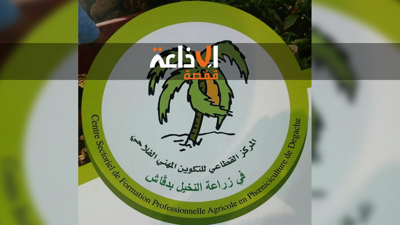 المركز المهني القطاعي في زراعة النخيل بدقاش يفتتح السنة التكوينية الجديدة بدورة في التكوين المستمر في اختصاص انتاج الخضراوات تحت البيوت المحمية