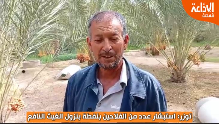 توزر || فلاحو معتمدية نفطة يستبشىون بنزول الأمطار الأخيرة وتنعش ٱمالهم بموسم فلاحي واعد