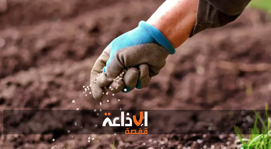 الاتحاد الجهوي للفلاحة بقفصة :ضرورة توفير مستلزمات الانتاج لانجاح موسم الزراعات الكبرى