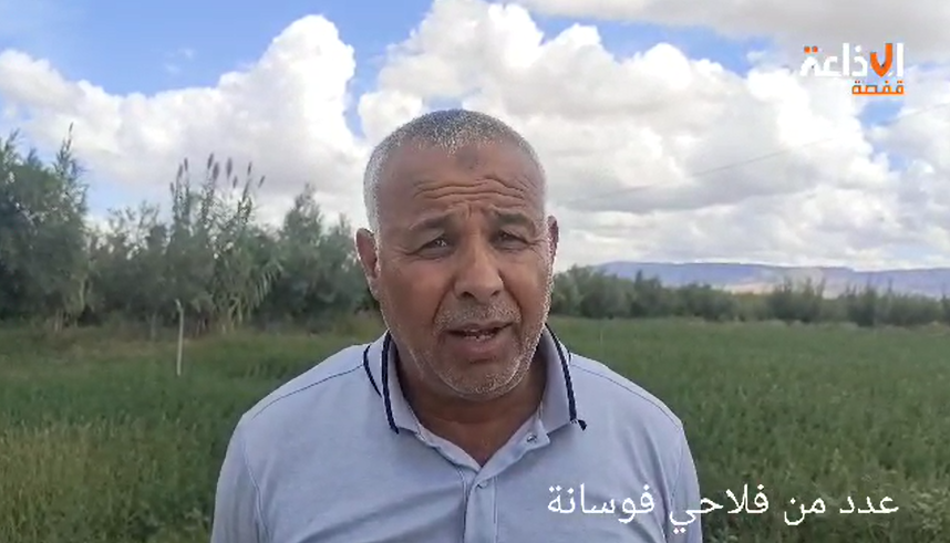 فوسانة : تأثيرات إيجابية للأمطار الأخيرة على الموسم الفلاحي القادم رغم الأضرار التي لحقت ببعض الغراسات والبنية التحتية