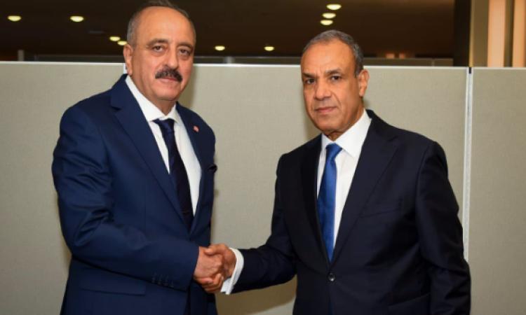 وزير الخارجية يلتقي نظيره المصري في نيويورك