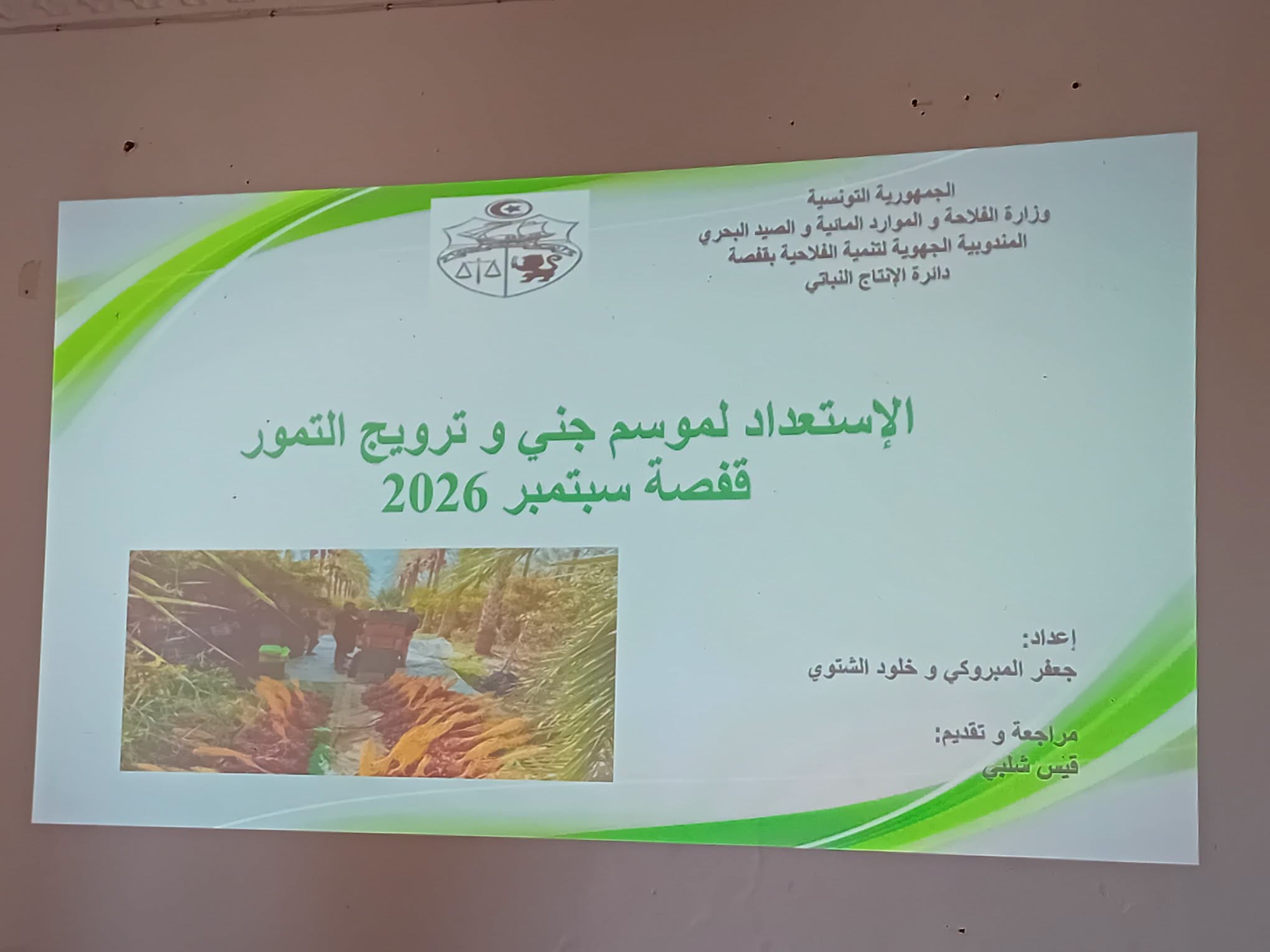 قفصة الاستعدادات لموسم جني التمور مع تسجيل تراجع مقارنة بالموسم الفارط