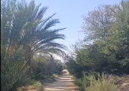 قفصة | فلاّحو الجهة يستبشرون بأمطار الخريف